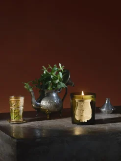 Velas Perfumadas|Jarrones></noscript>Trudon Vela perfumada artesanal Solis Rex Corteza de abeto