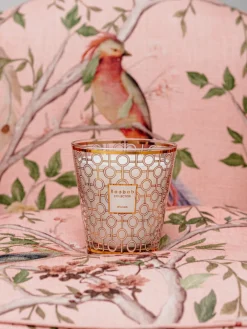 Velas Perfumadas|Jarrones>Baobab Vela perfumada de cuatro mechas Women (magnolia, rosa, almizcle)