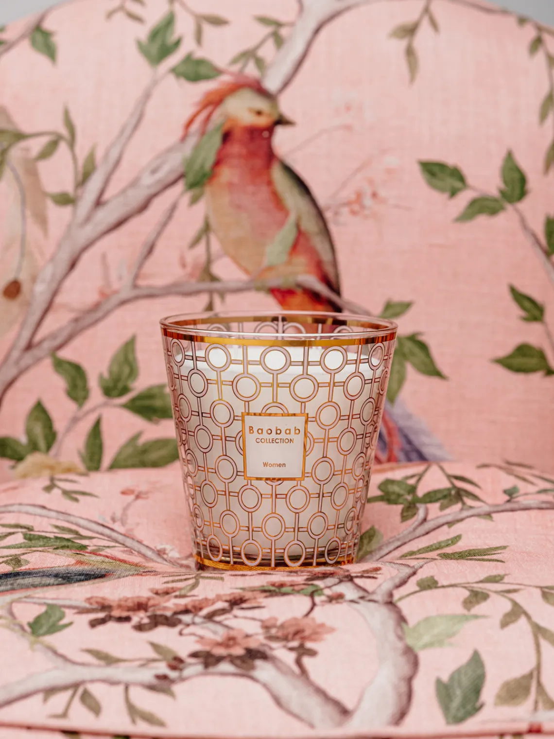 Velas Perfumadas|Jarrones>Baobab Vela perfumada de cuatro mechas Women (magnolia, rosa, almizcle)