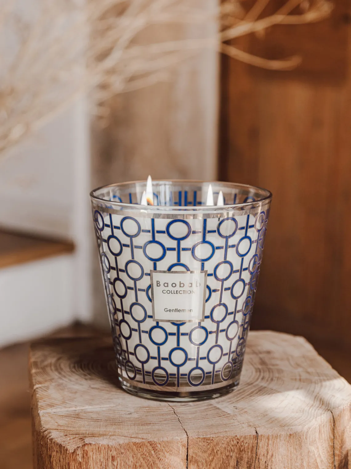 Velas Perfumadas|Jarrones>Baobab Vela perfumada de cuatro mechas Gentlemen (ron, azafrán, ládano)