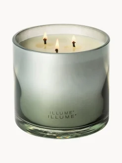 Velas Perfumadas|Jarrones></noscript>Bloomingville Vela perfumada de tres mechas Statement Jazmín y rocío marino salado