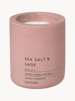 Velas Perfumadas|Jarrones>blomus Vela perfumada Fraga (sal marina y salvia)