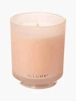 Hot Vela perfumada Refill (coco, mango & vainilla de Tahití) Velas Perfumadas|Jarrones