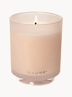 Hot Vela perfumada Refill (coco, mango & vainilla de Tahití) Velas Perfumadas|Jarrones