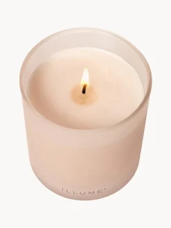 Hot Vela perfumada Refill (coco, mango & vainilla de Tahití) Velas Perfumadas|Jarrones