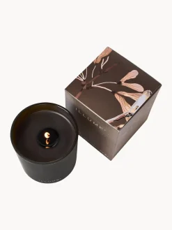 Velas Perfumadas|Jarrones></noscript>Bloomingville Vela perfumada Refill (madera de cedro, gamuza & ámbar) Madera de cedro, gamuza y ámbar