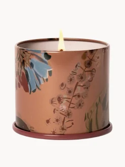 Best Vela perfumada Vanity Tin (almizcle de cachemira, hoja de tabaco y naranja) Velas Perfumadas|Jarrones