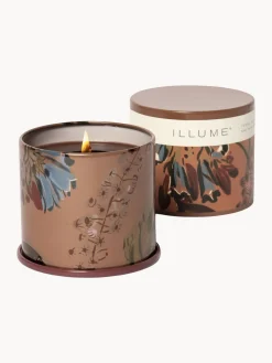 Best Vela perfumada Vanity Tin (almizcle de cachemira, hoja de tabaco y naranja) Velas Perfumadas|Jarrones