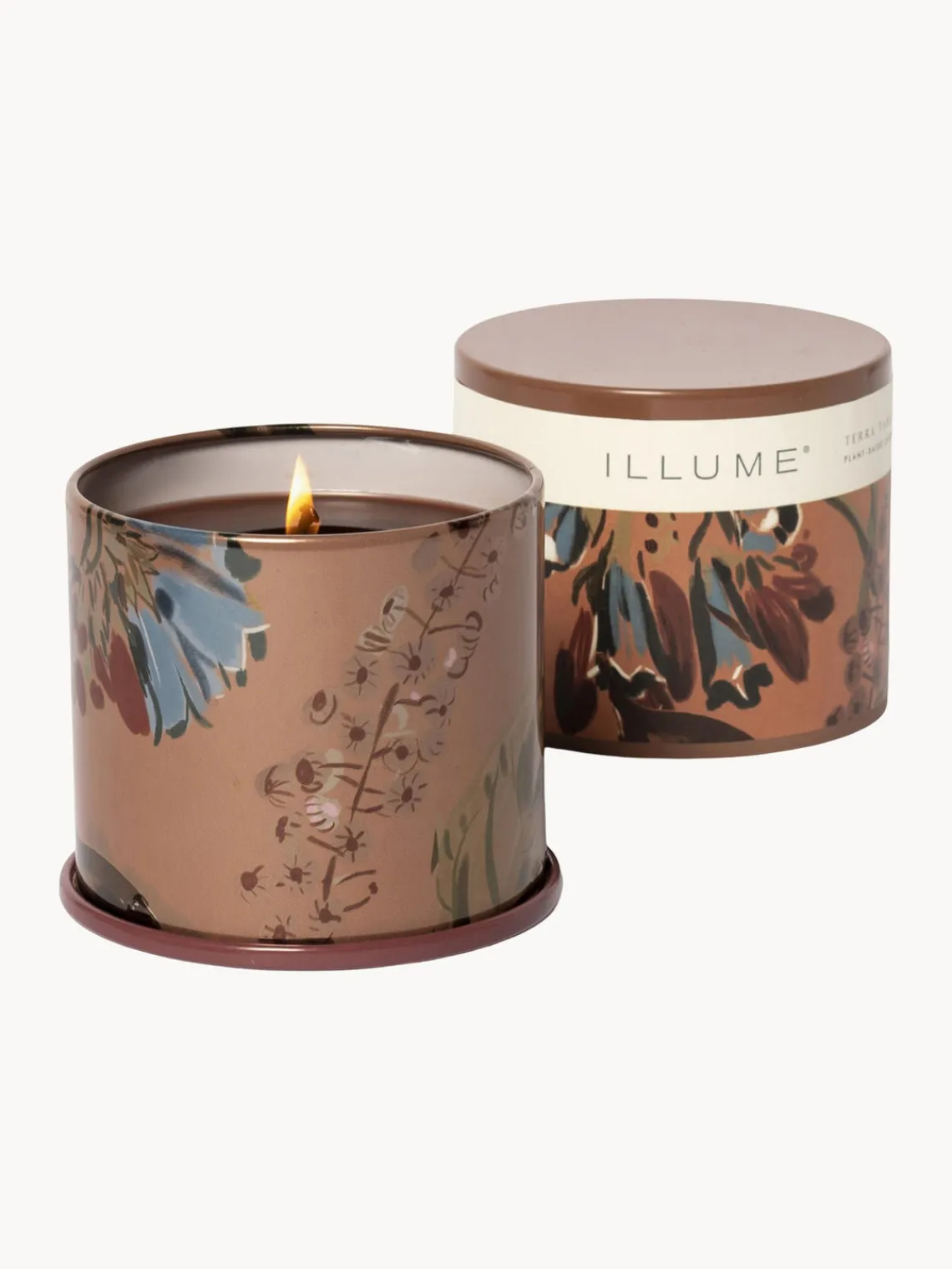 Best Vela perfumada Vanity Tin (almizcle de cachemira, hoja de tabaco y naranja) Velas Perfumadas|Jarrones