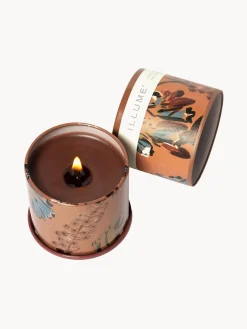 Best Vela perfumada Vanity Tin (almizcle de cachemira, hoja de tabaco y naranja) Velas Perfumadas|Jarrones