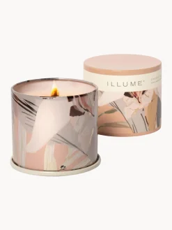 Velas Perfumadas|Jarrones><noscript><img width=