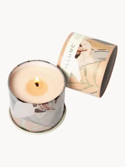 Velas Perfumadas|Jarrones><noscript><img width=