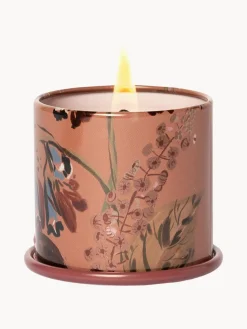 Best Vela perfumada Vanity Tin (almizcle de cachemira, hoja de tabaco y naranja) Velas Perfumadas|Jarrones