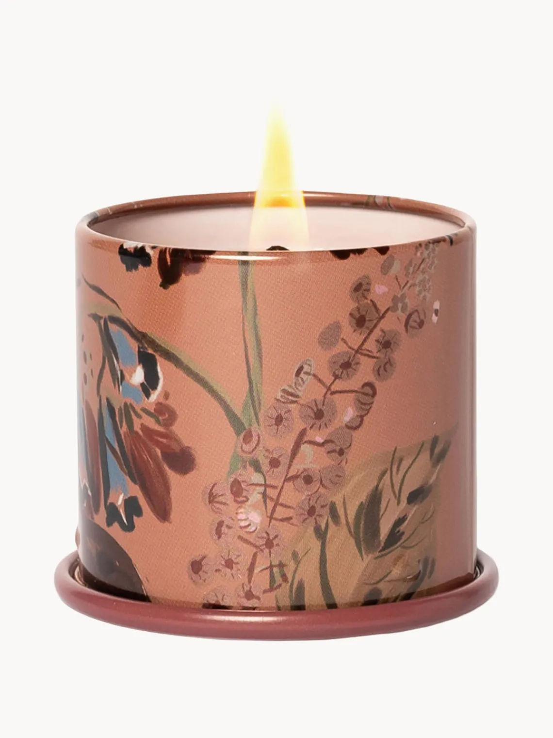 Best Vela perfumada Vanity Tin (almizcle de cachemira, hoja de tabaco y naranja) Velas Perfumadas|Jarrones