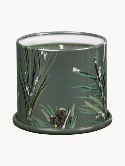 Velas Perfumadas|Jarrones>Bloomingville Vela perfumada Vanity Tin Agujas de pino, canela y musgo de roble
