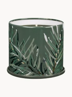 Velas Perfumadas|Jarrones>Bloomingville Vela perfumada Vanity Tin Agujas de pino, canela y musgo de roble